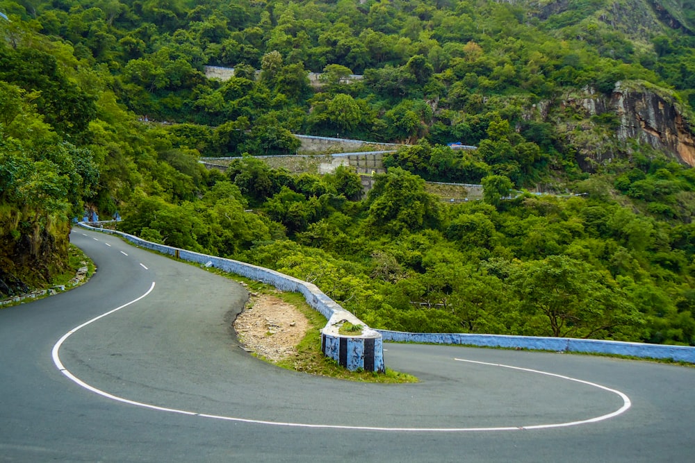 green trees beside gray asphalt road during daytime