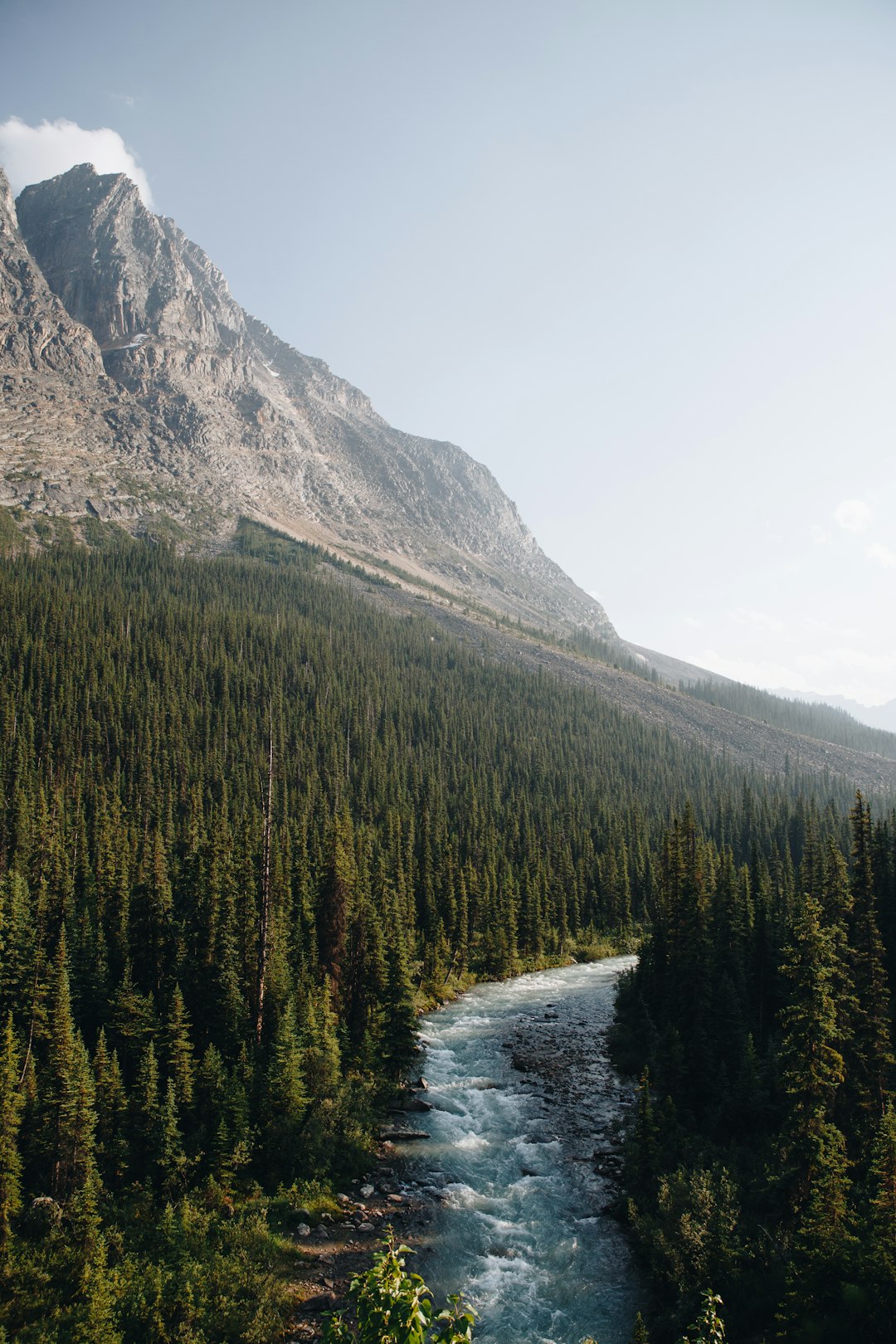 photo of Jasper Highland near Jasper National Park Of Canada