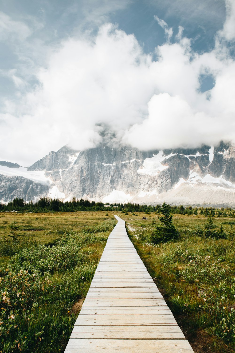 gray wooden pathway on green grass field near snow covered mountain during daytime