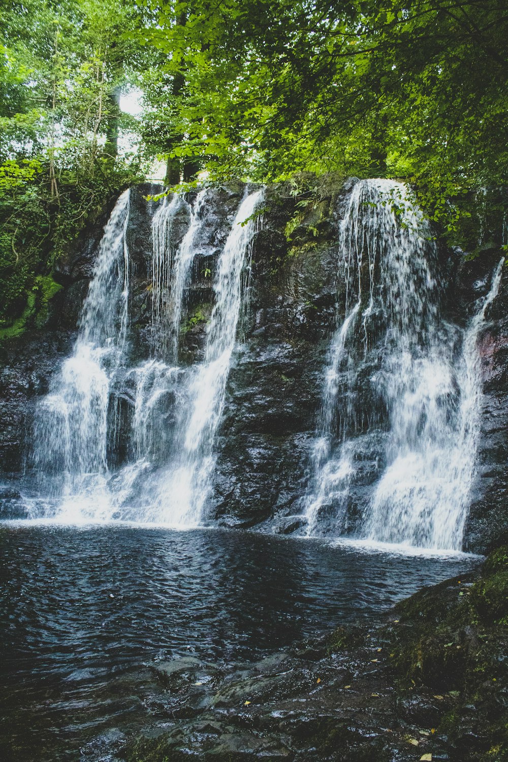 waterfalls in the middle of green trees