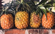 Four ripe pineapples with various shades of orange and green stand in a row on a rustic brick surface. The fruit is adorned with lush green leaves that fan out above them, contributing a natural contrast to the earthy background.