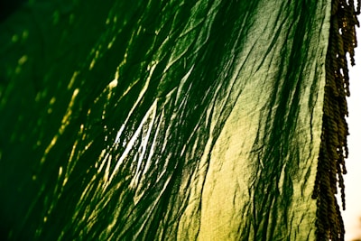 A detailed view of a textured, translucent fabric with a gradient of green to yellow. Sunlight creates an interplay of light and shadow, highlighting the crumpled surface design.