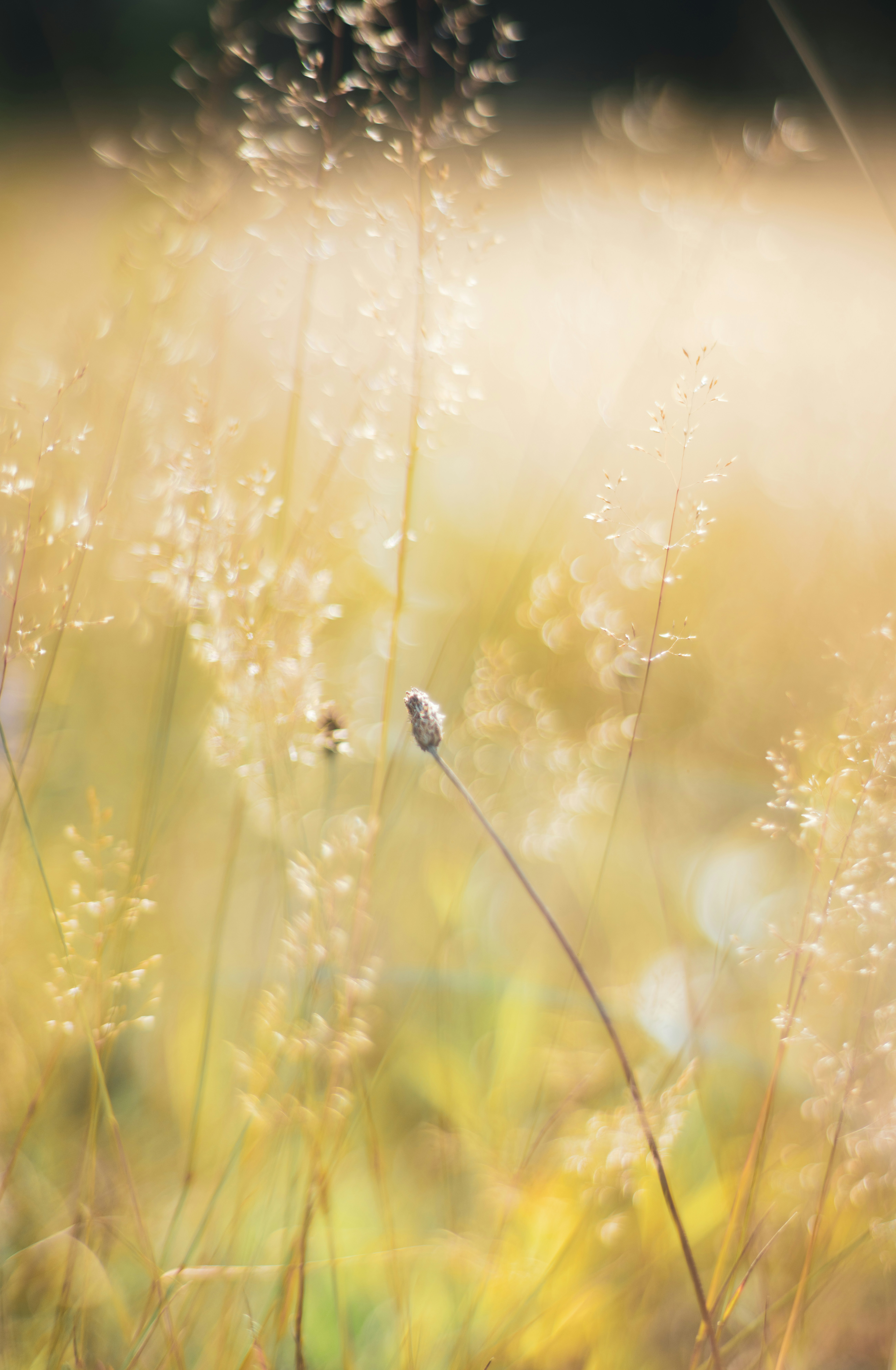 Photo by mathieubigard