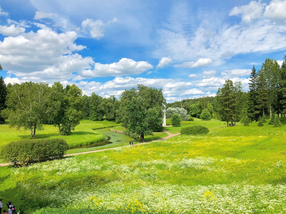 Grünes Grasfeld mit Bäumen unter blauem Himmel und weißen Wolken tagsüber