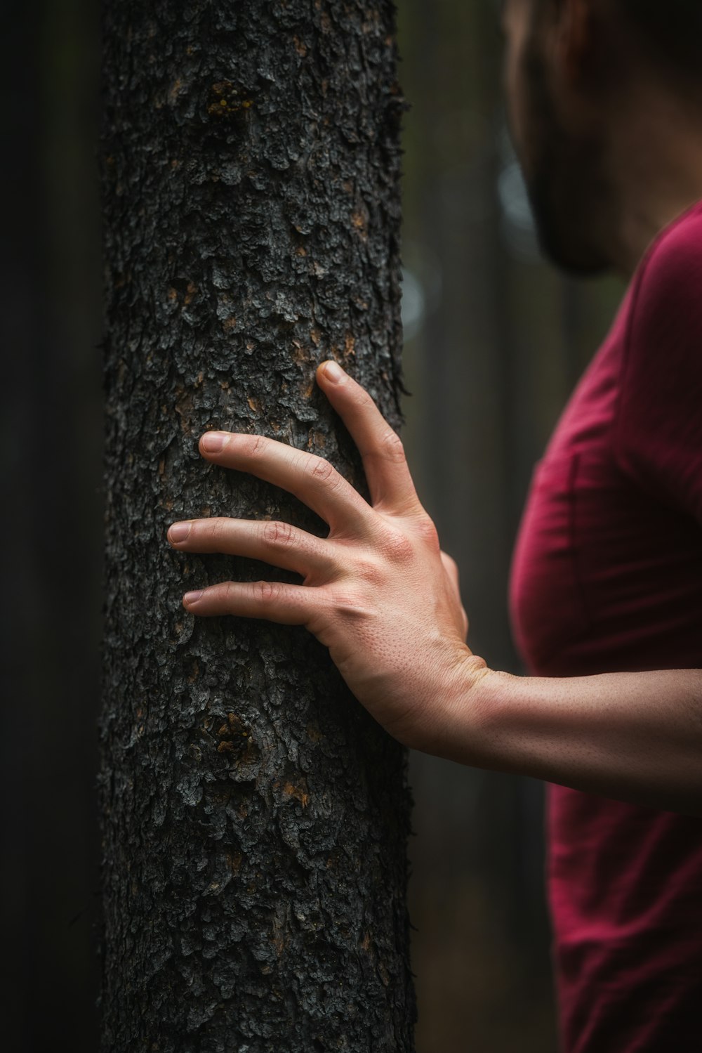 person in red long sleeve shirt holding brown tree trunk