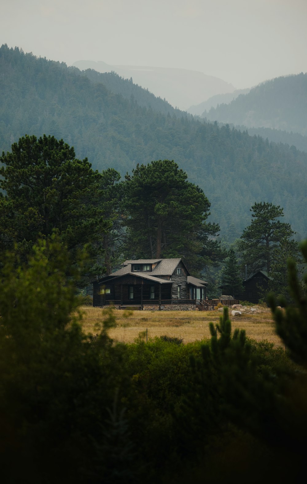 white and black house surrounded by green trees