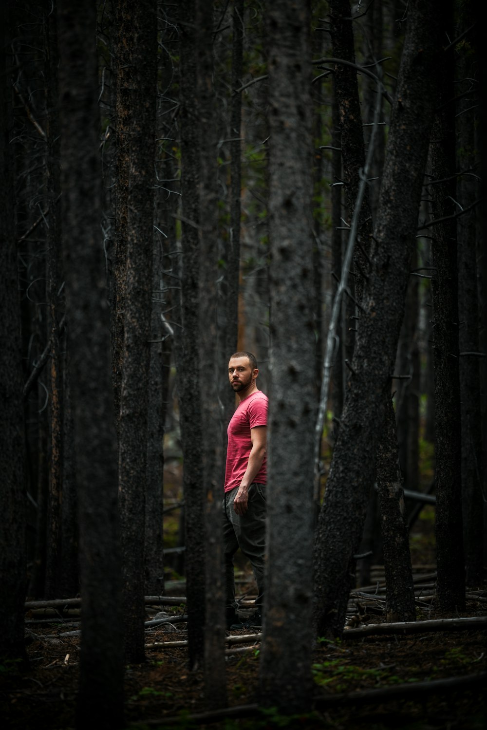 woman in pink jacket standing on tree trunk