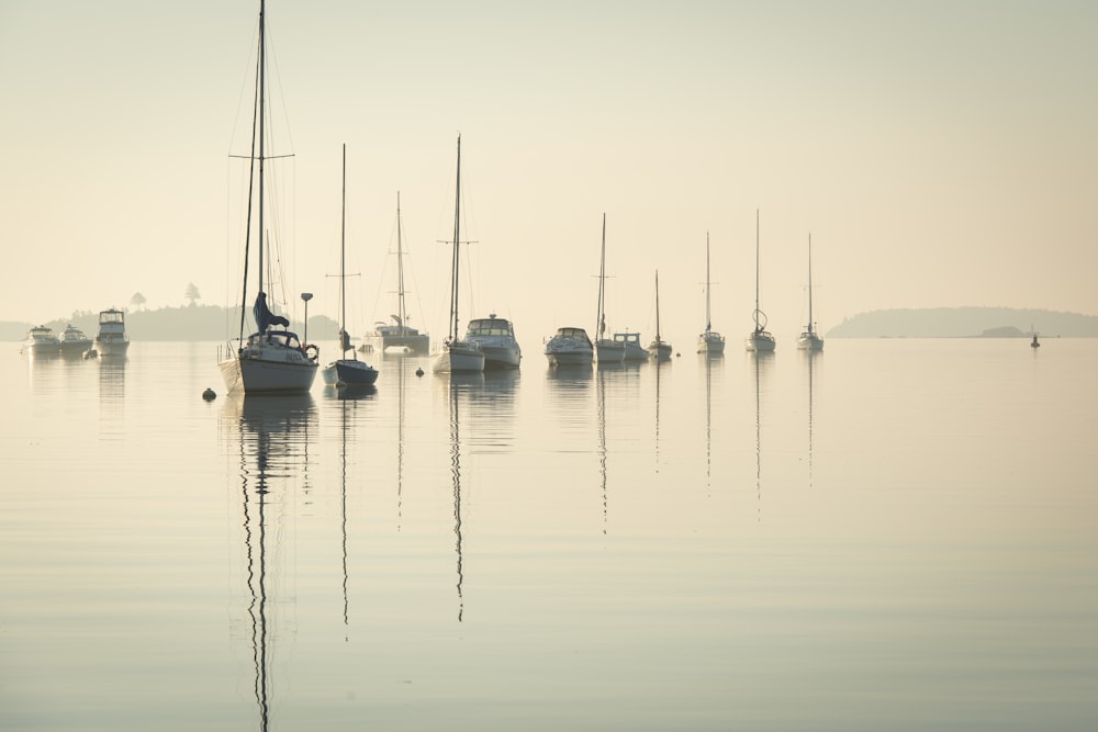 weißes und blaues Boot tagsüber auf Gewässern