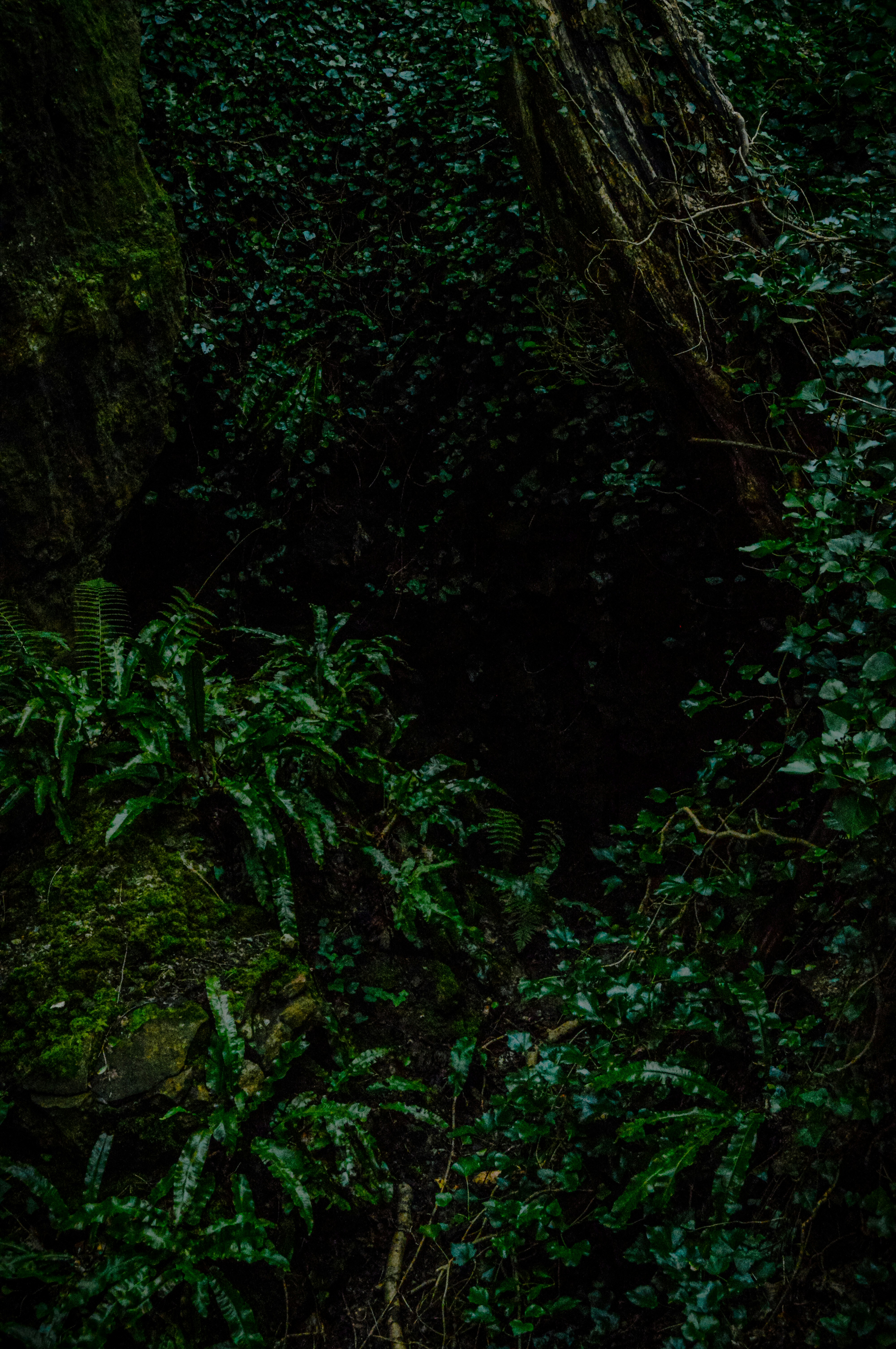 Photo by jaidanhubbard