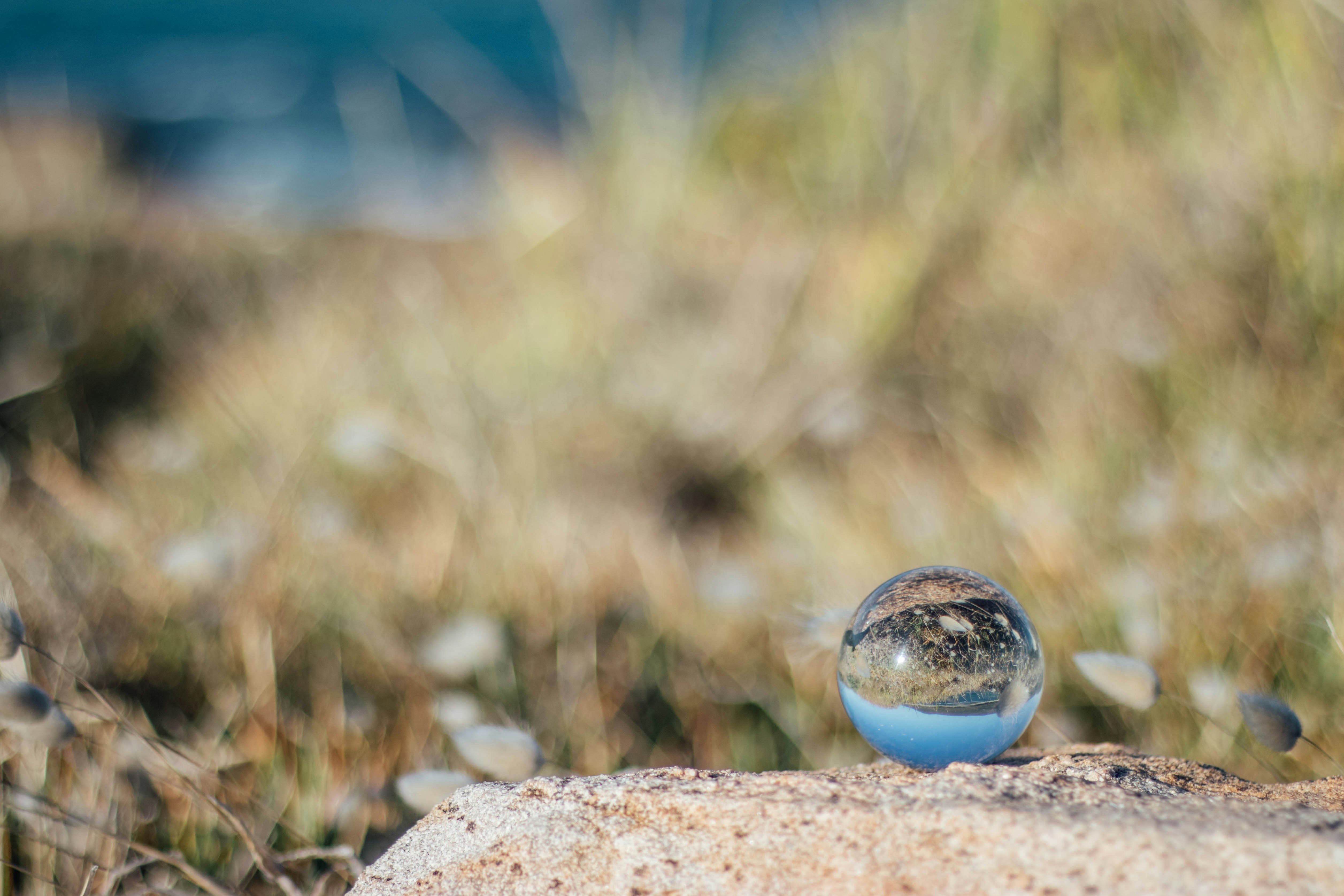 silver round ornament on brown rock