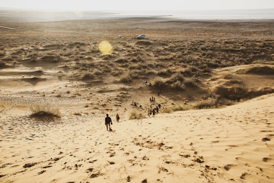 people walking on brown sand during daytime in Maranjab Desert Iran