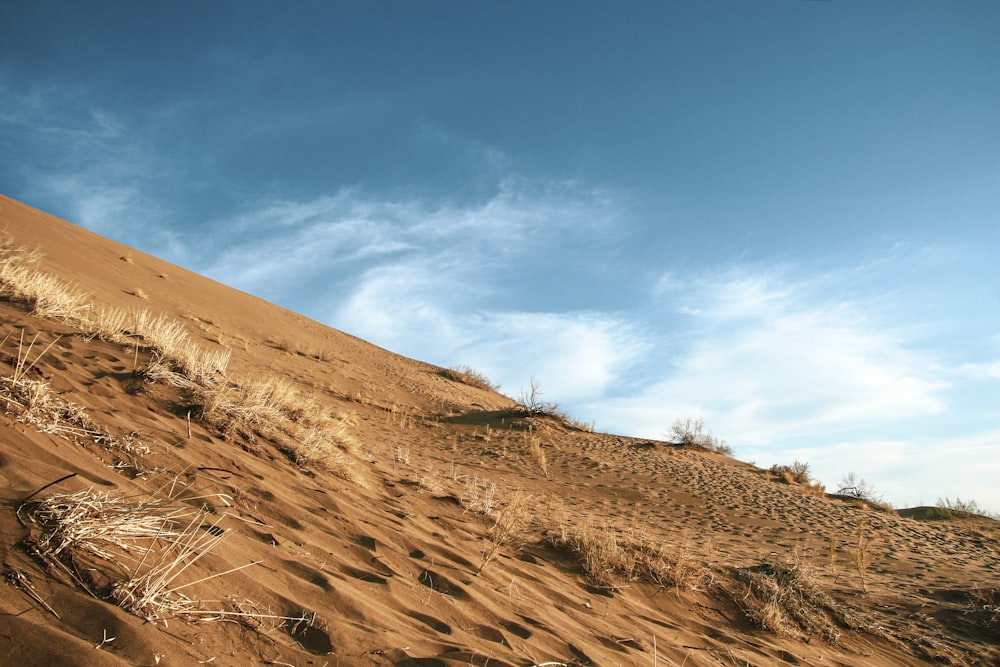 brown sand under blue sky during daytime