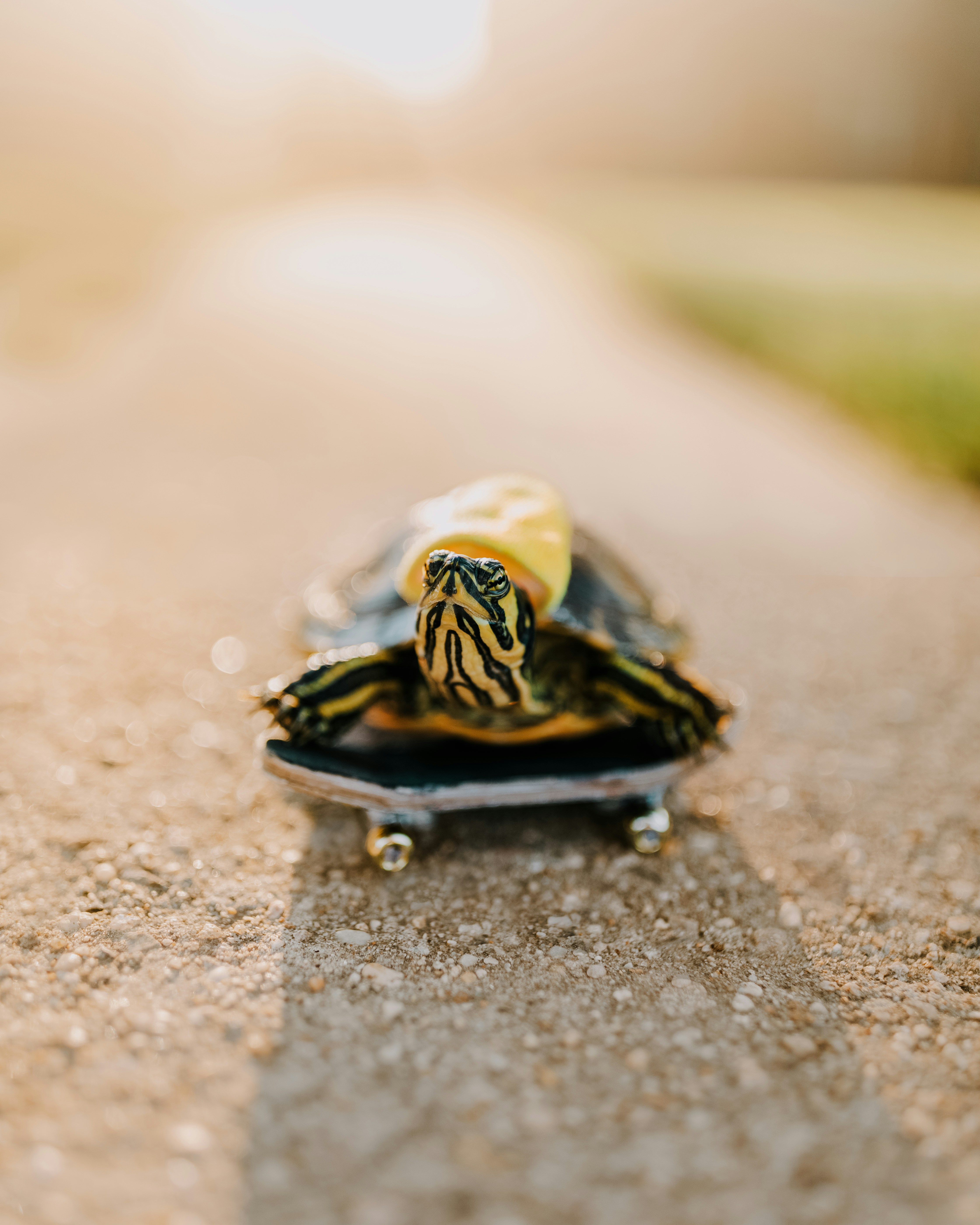 Photo by brittneyweng