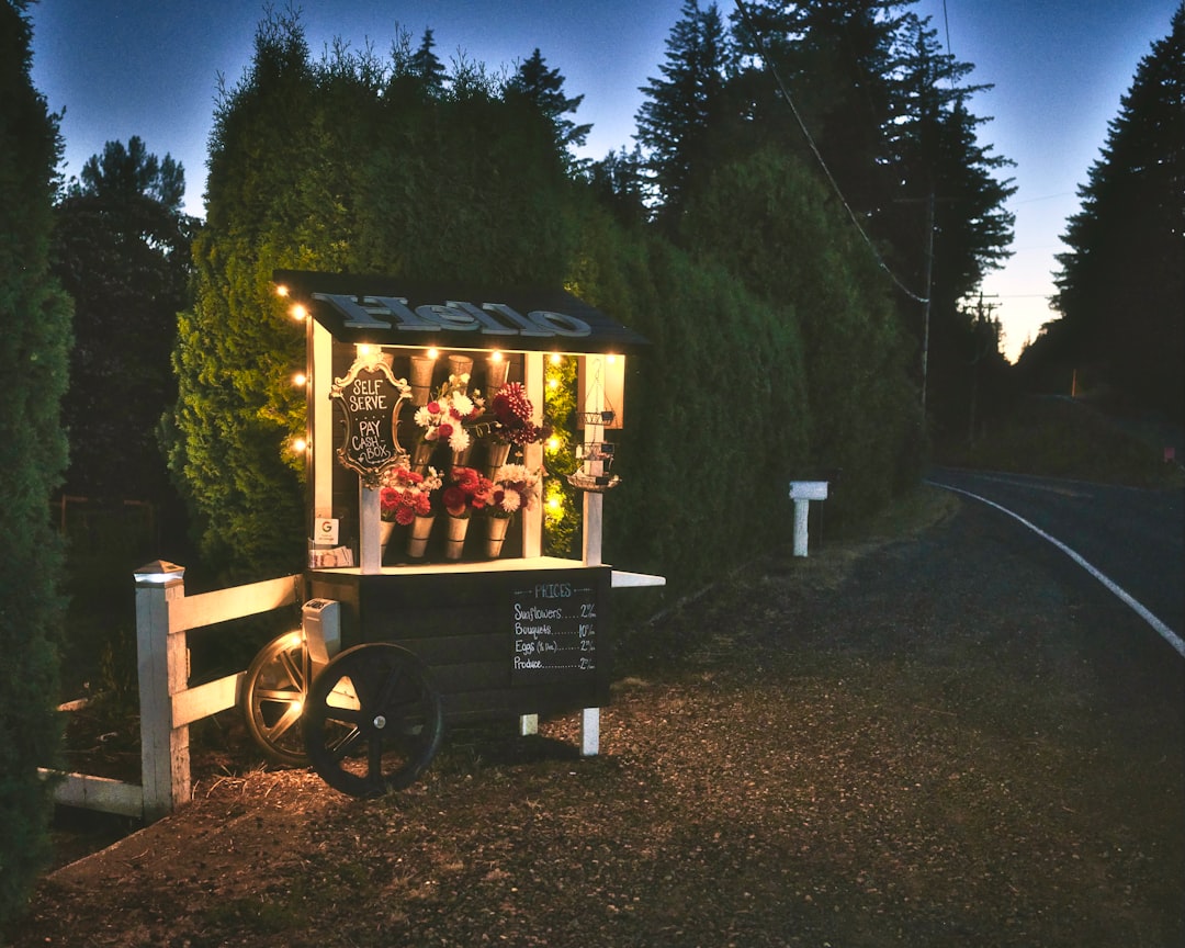 people riding on brown wooden horse carousel during night time