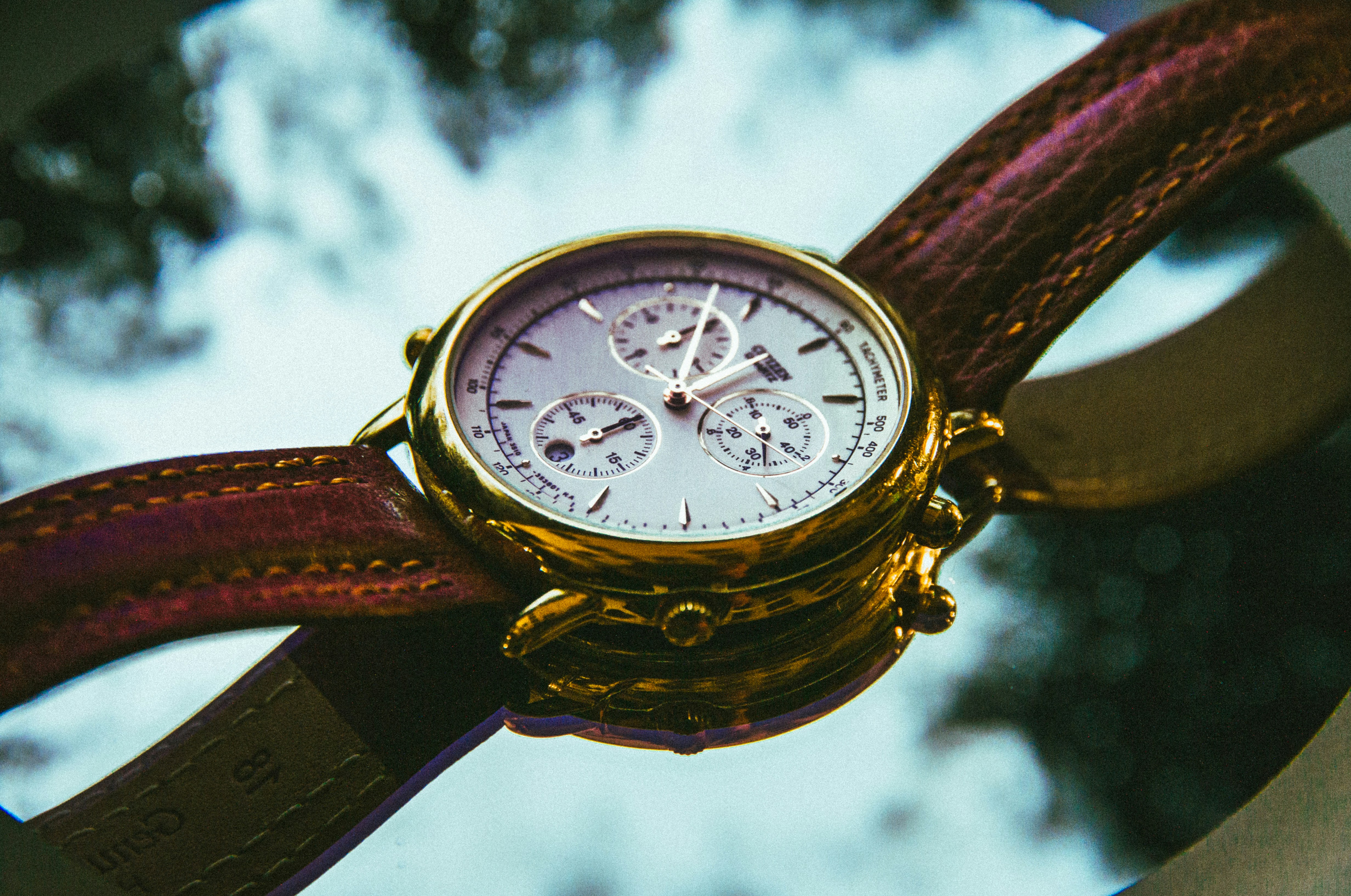 Photo by apollophotog