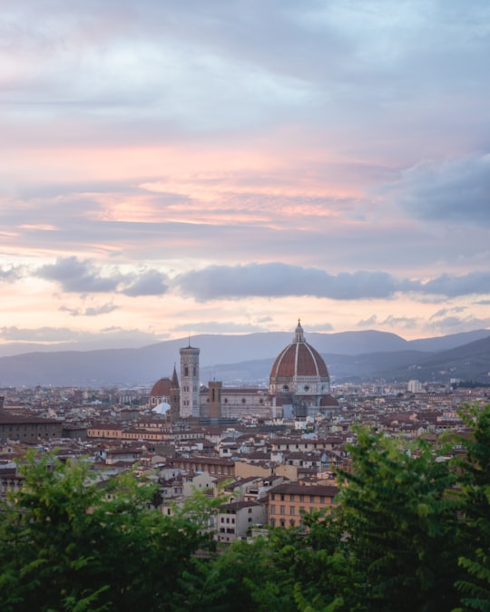 city skyline under white clouds during daytime in Florence Italy