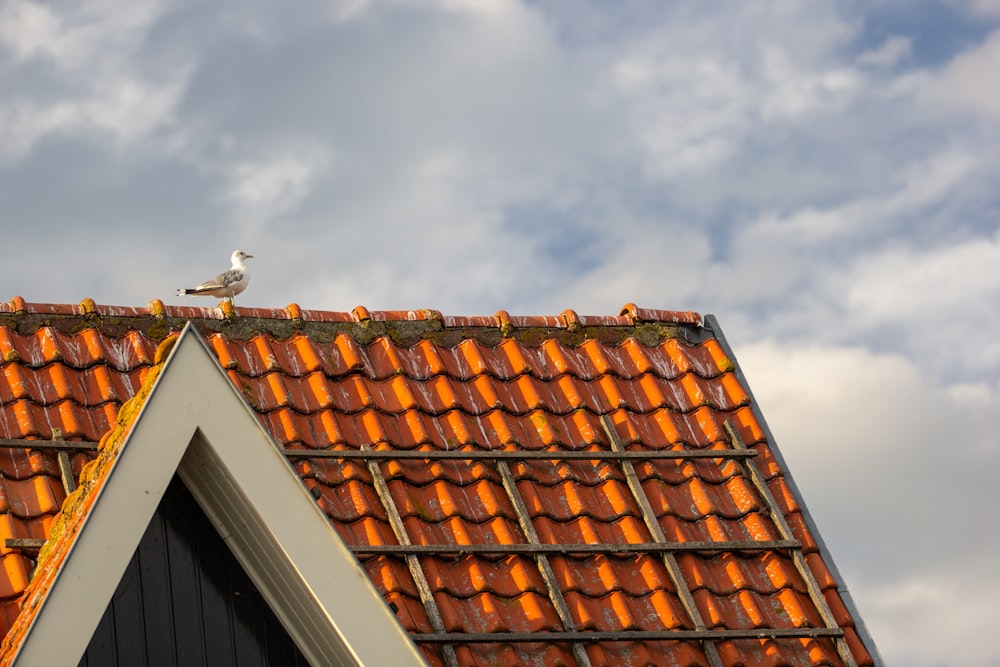 brown roof tiles under blue sky during daytime