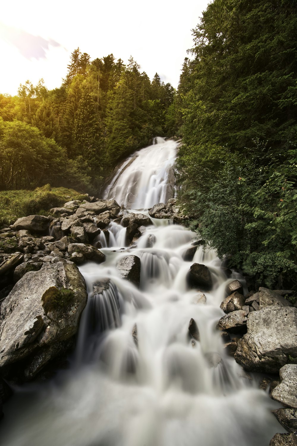 water falls in the middle of green trees