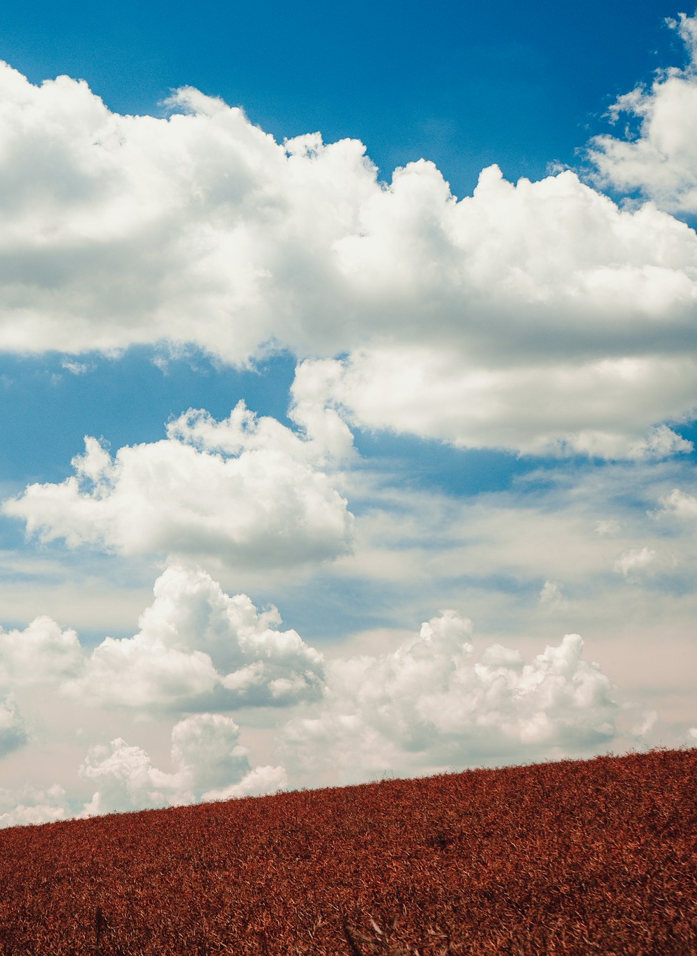 white clouds and blue sky during daytime