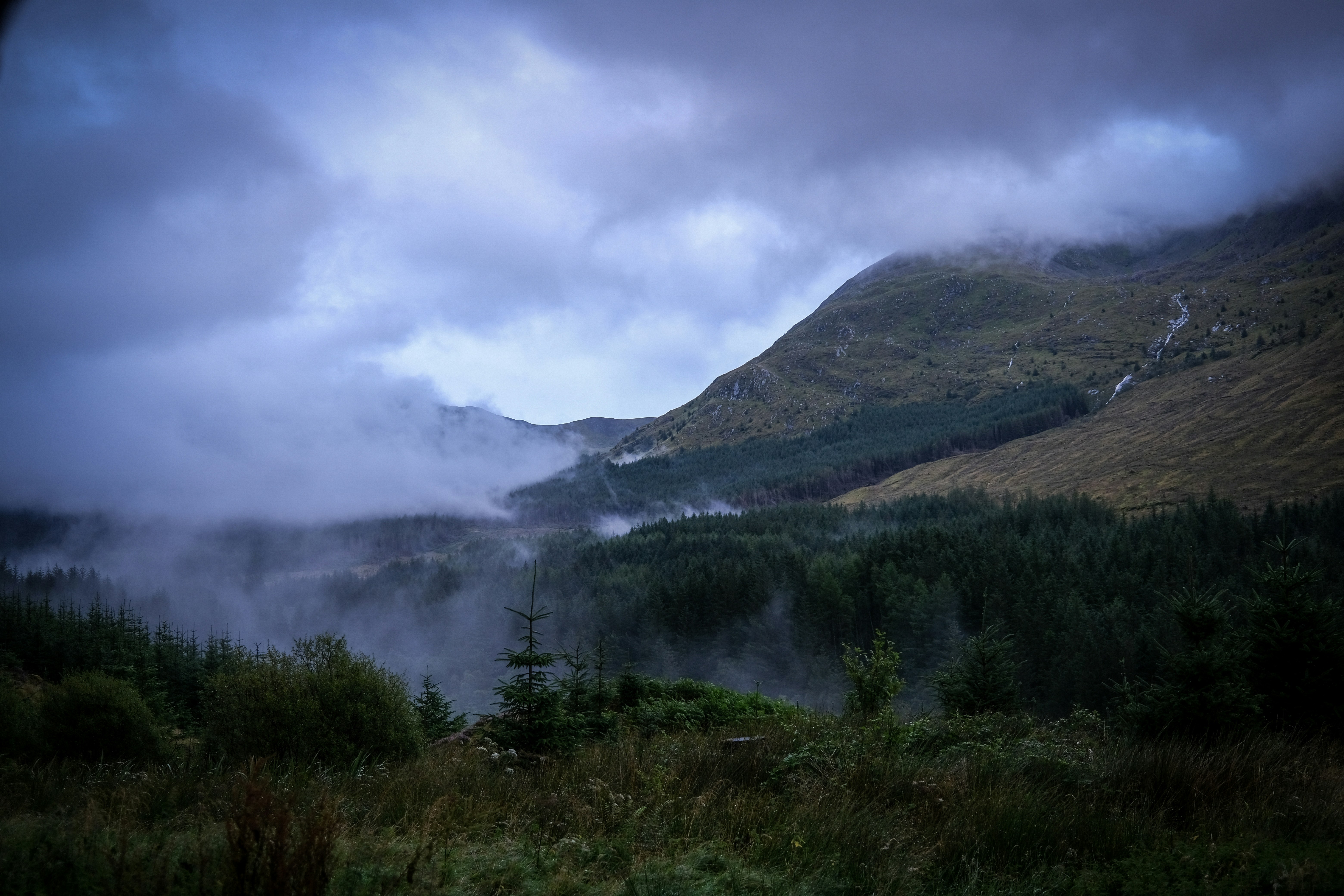 Photo by tomasrobertson