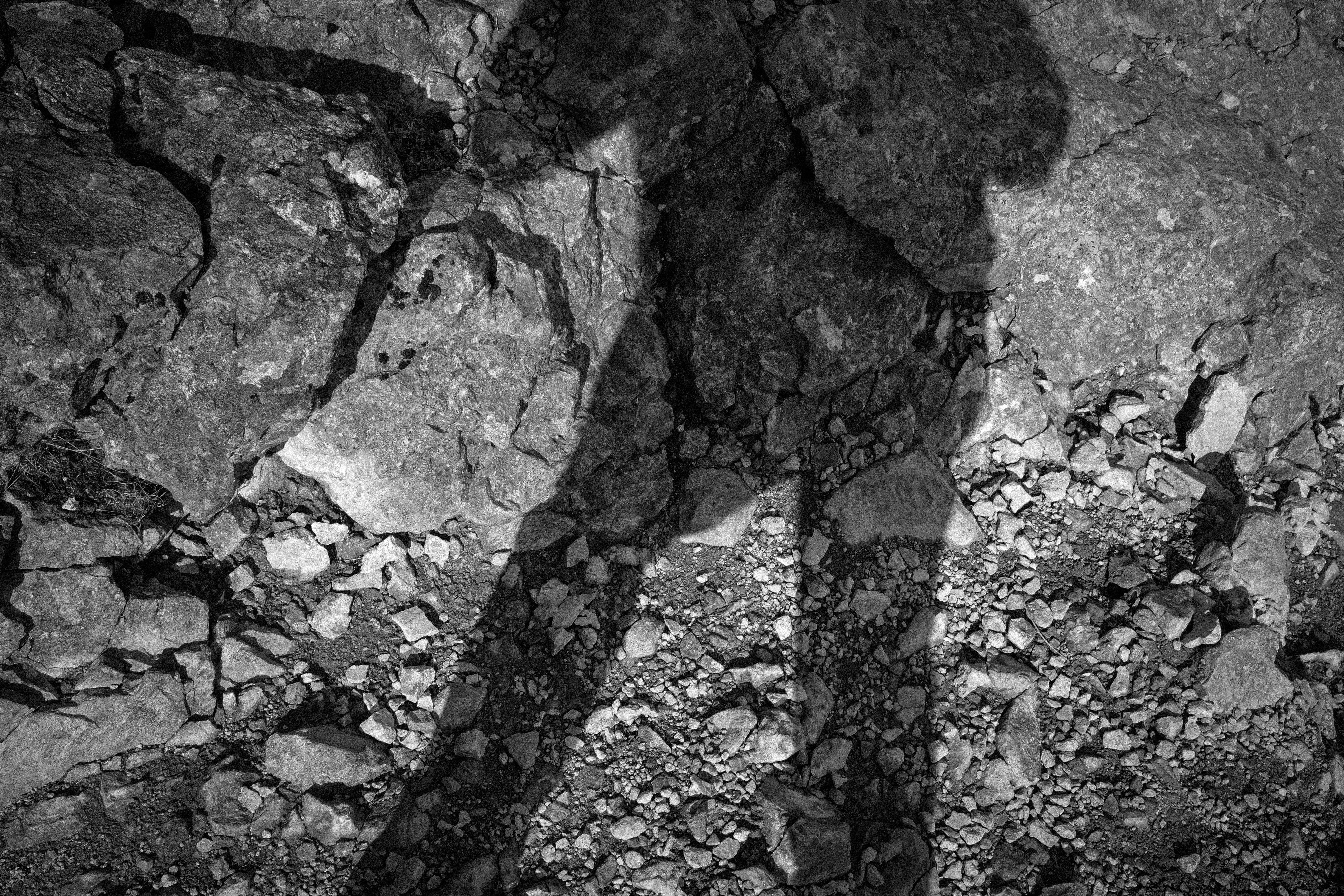 Photo by tomasrobertson