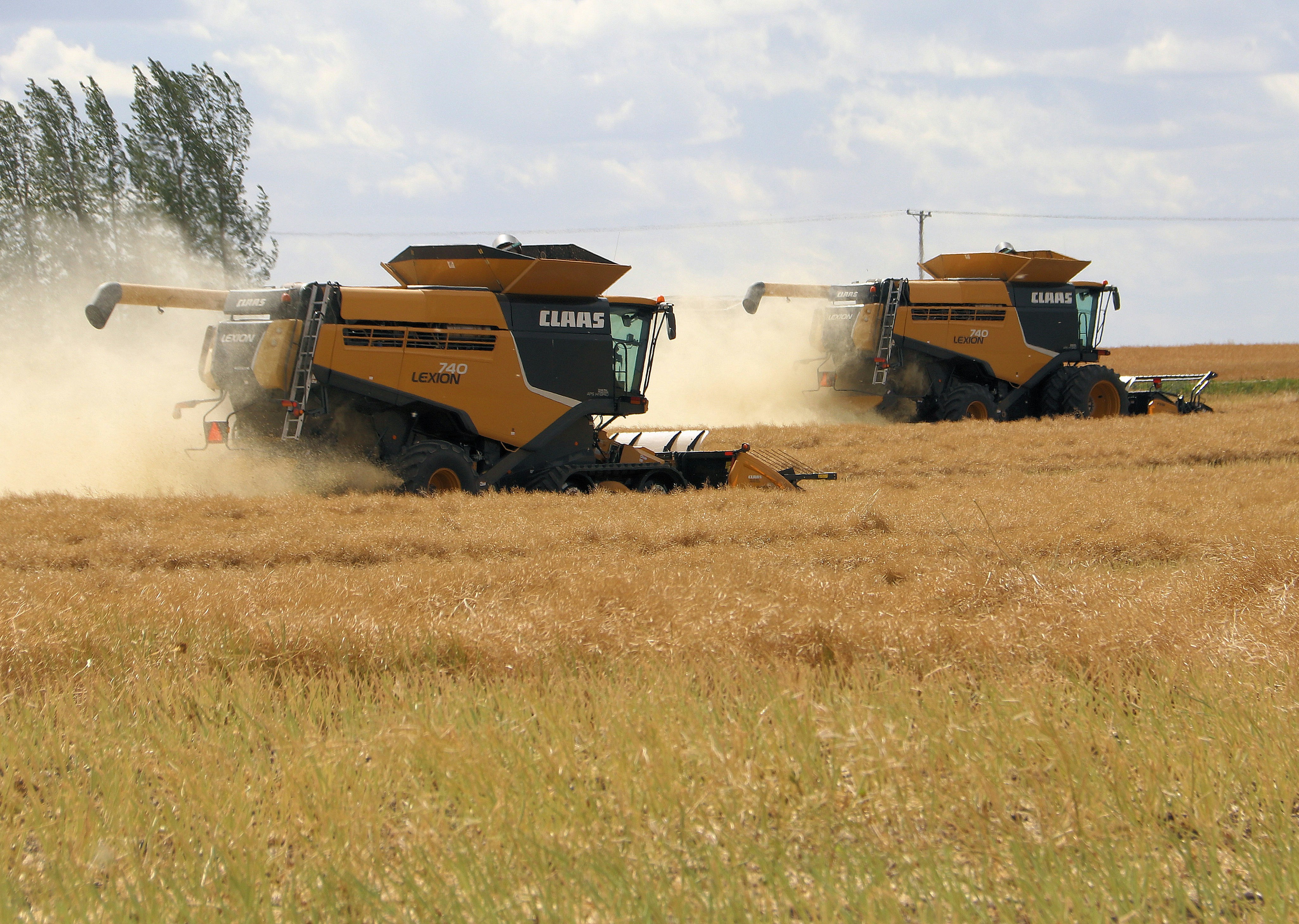 Harvest around Indian Head is in full swing...