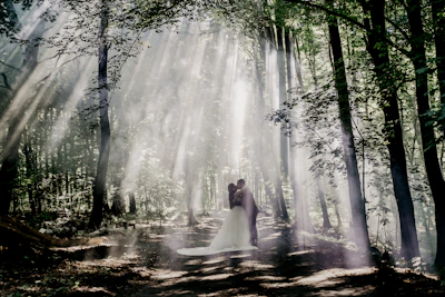 Sunlight filtering through trees onto a couple sharing a quiet moment.