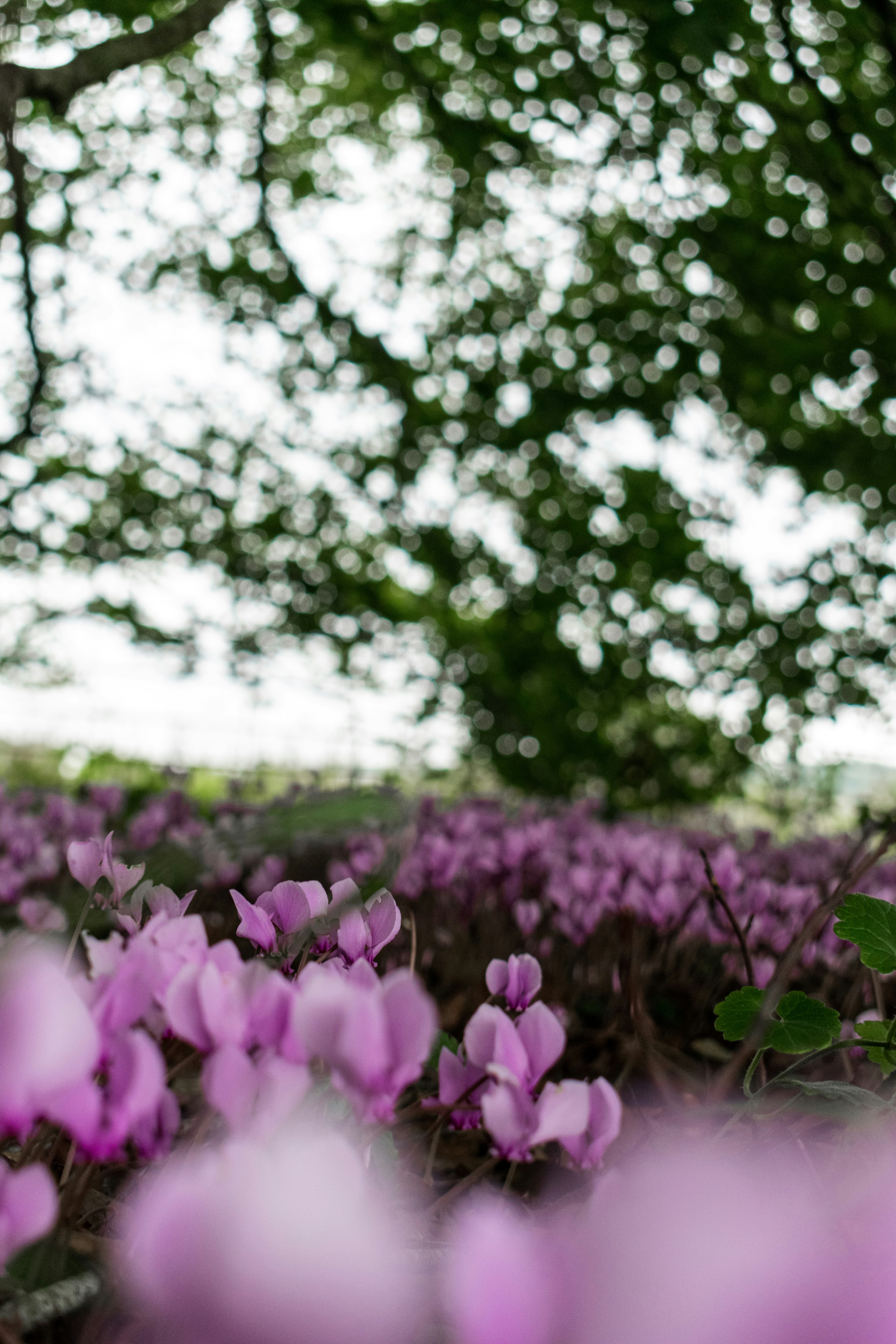 Photo by itsrobcoates