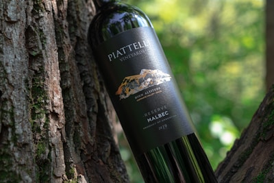 A wine bottle labeled 'PIATTELLI VINEYARDS' rests against a tree trunk with textured bark. The label indicates it is a High Altitude Malbec from the Cafayate Valley, Argentina, vintage 2019. The background is a lush, blurred forest with dappled sunlight creating a natural, serene atmosphere.