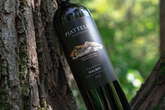 A wine bottle labeled 'PIATTELLI VINEYARDS' rests against a tree trunk with textured bark. The label indicates it is a High Altitude Malbec from the Cafayate Valley, Argentina, vintage 2019. The background is a lush, blurred forest with dappled sunlight creating a natural, serene atmosphere.
