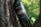 A wine bottle labeled 'PIATTELLI VINEYARDS' rests against a tree trunk with textured bark. The label indicates it is a High Altitude Malbec from the Cafayate Valley, Argentina, vintage 2019. The background is a lush, blurred forest with dappled sunlight creating a natural, serene atmosphere.