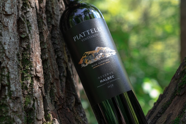 A wine bottle labeled 'PIATTELLI VINEYARDS' rests against a tree trunk with textured bark. The label indicates it is a High Altitude Malbec from the Cafayate Valley, Argentina, vintage 2019. The background is a lush, blurred forest with dappled sunlight creating a natural, serene atmosphere.