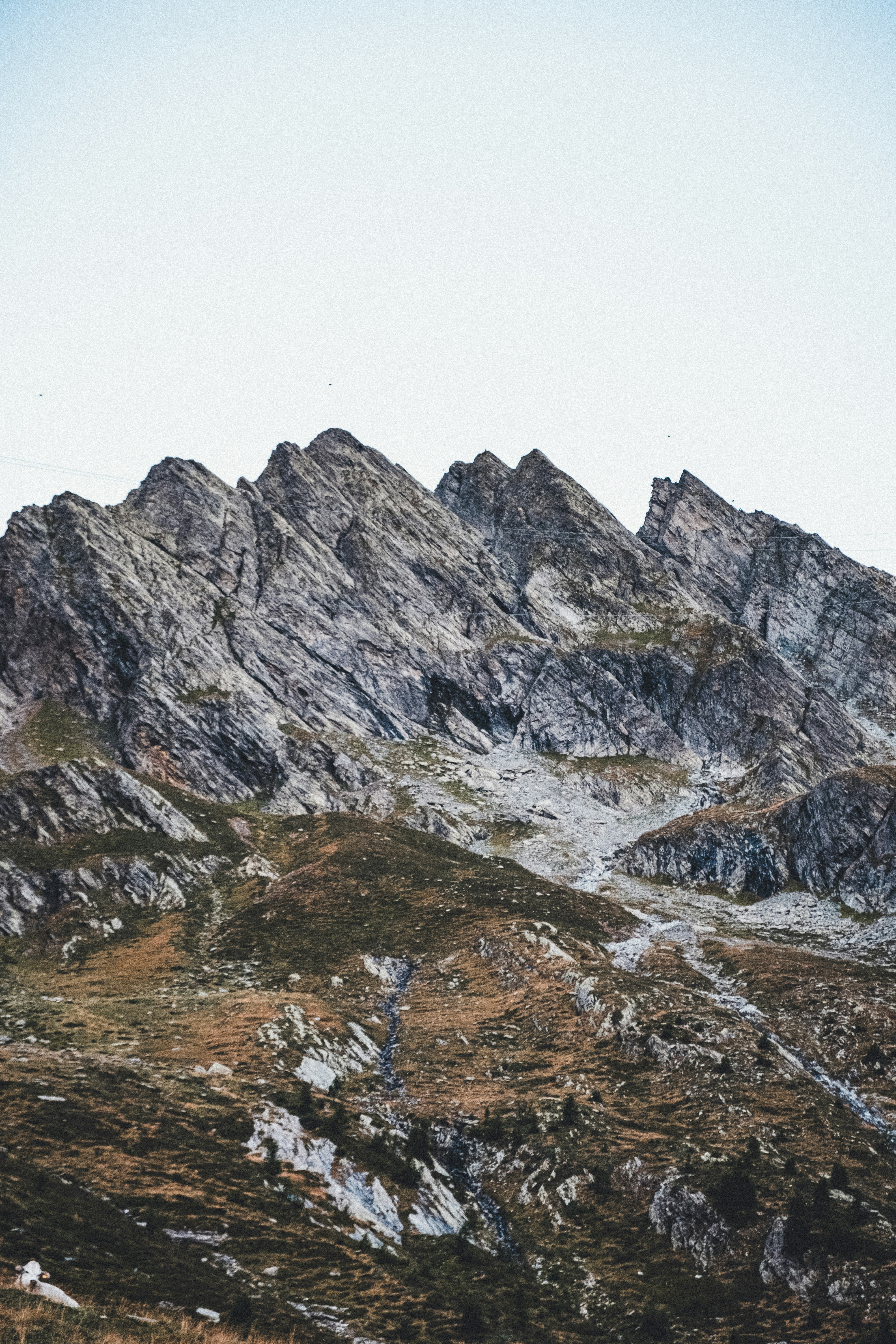 Photo by daniele_franchi