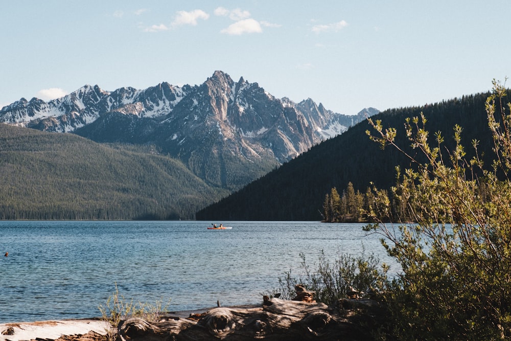 brown wooden log on shore near mountain during daytime