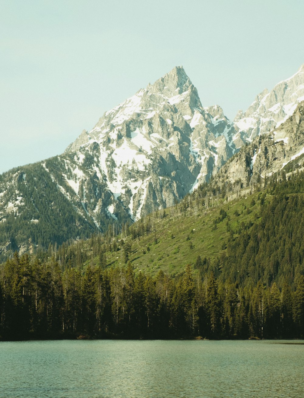 green trees near snow covered mountain during daytime