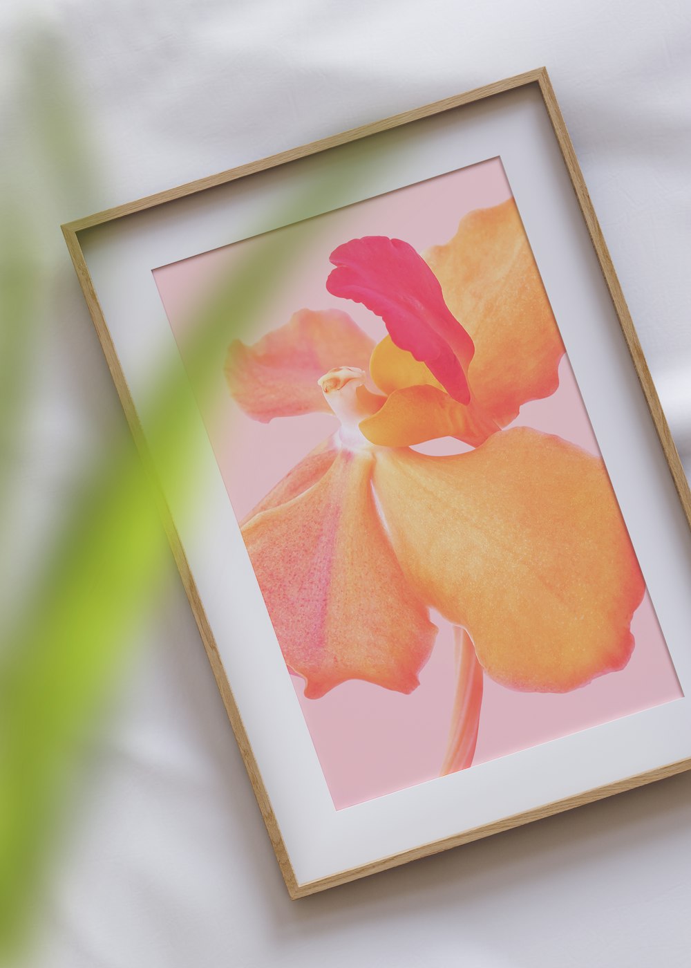 orange flower painting with brown wooden frame