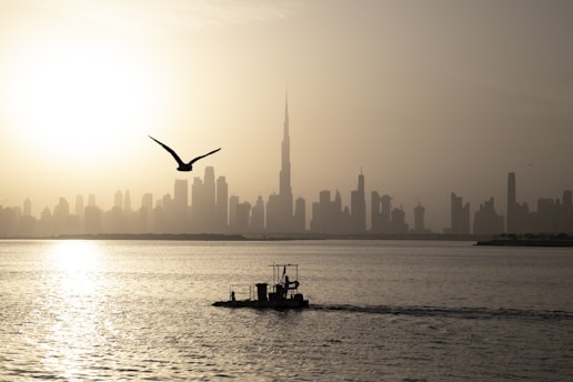 silhouette of man riding on boat on sea during daytime