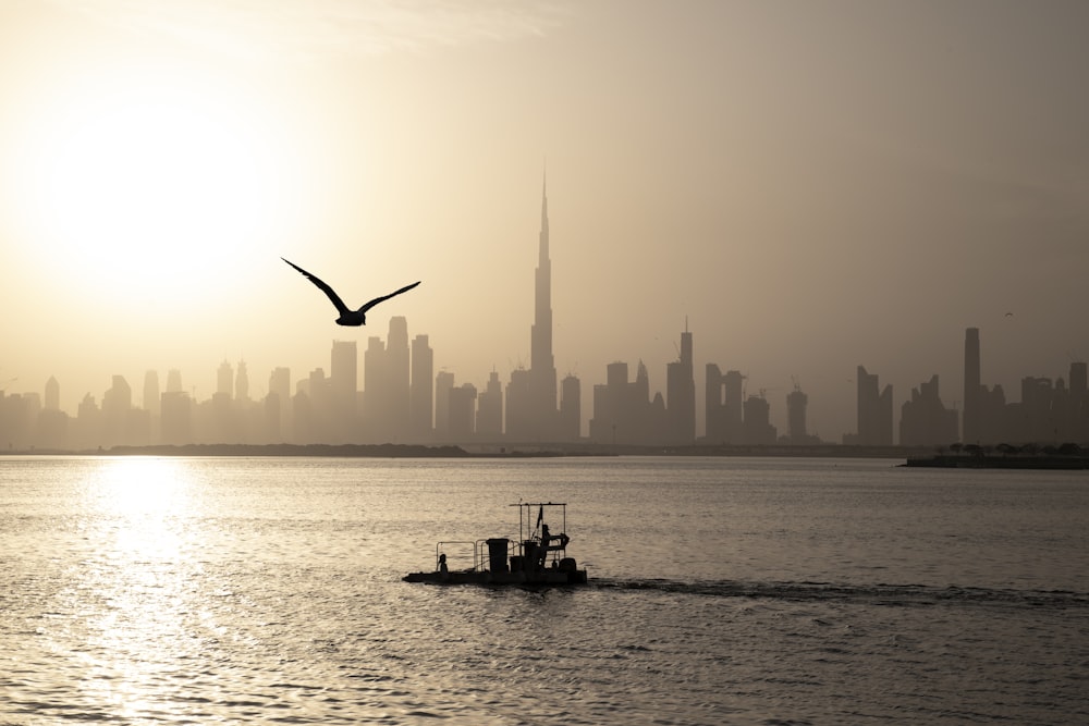 silhouette of man riding on boat on sea during daytime