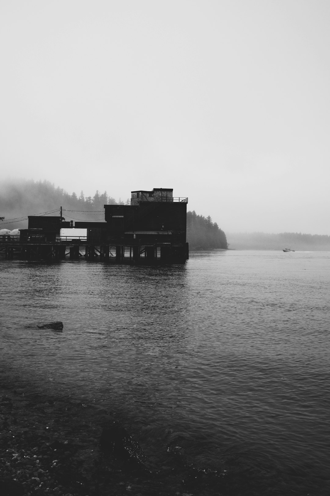 grayscale photo of houses near body of water