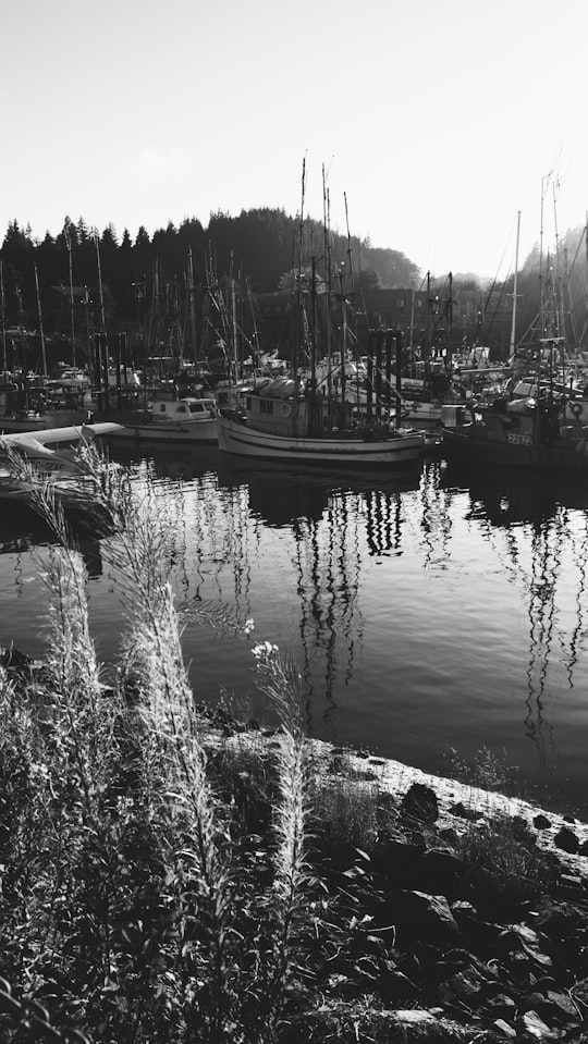 grayscale photo of boats on water in Ucluelet Canada