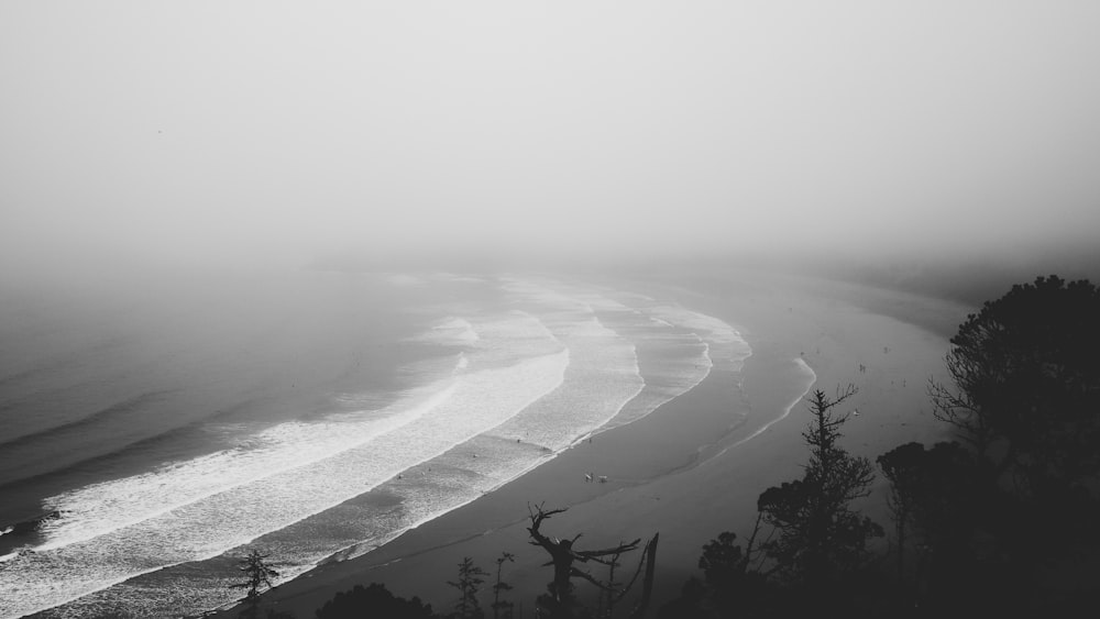 grayscale photo of beach shore