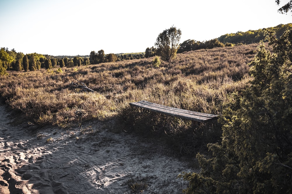 brown wooden bridge over river