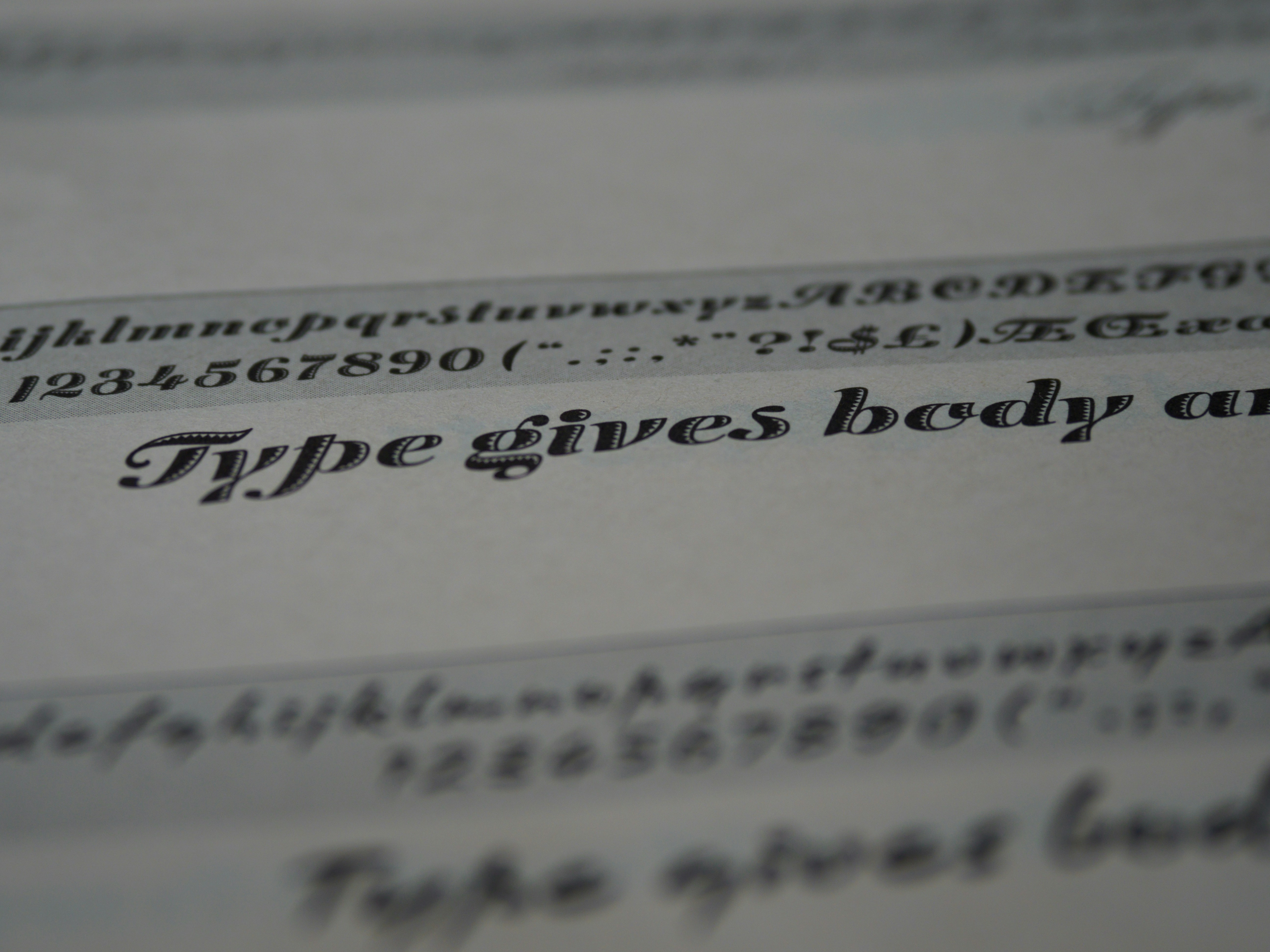 Exploring My Recent WordPress Template Collection: A Comprehensive Guide