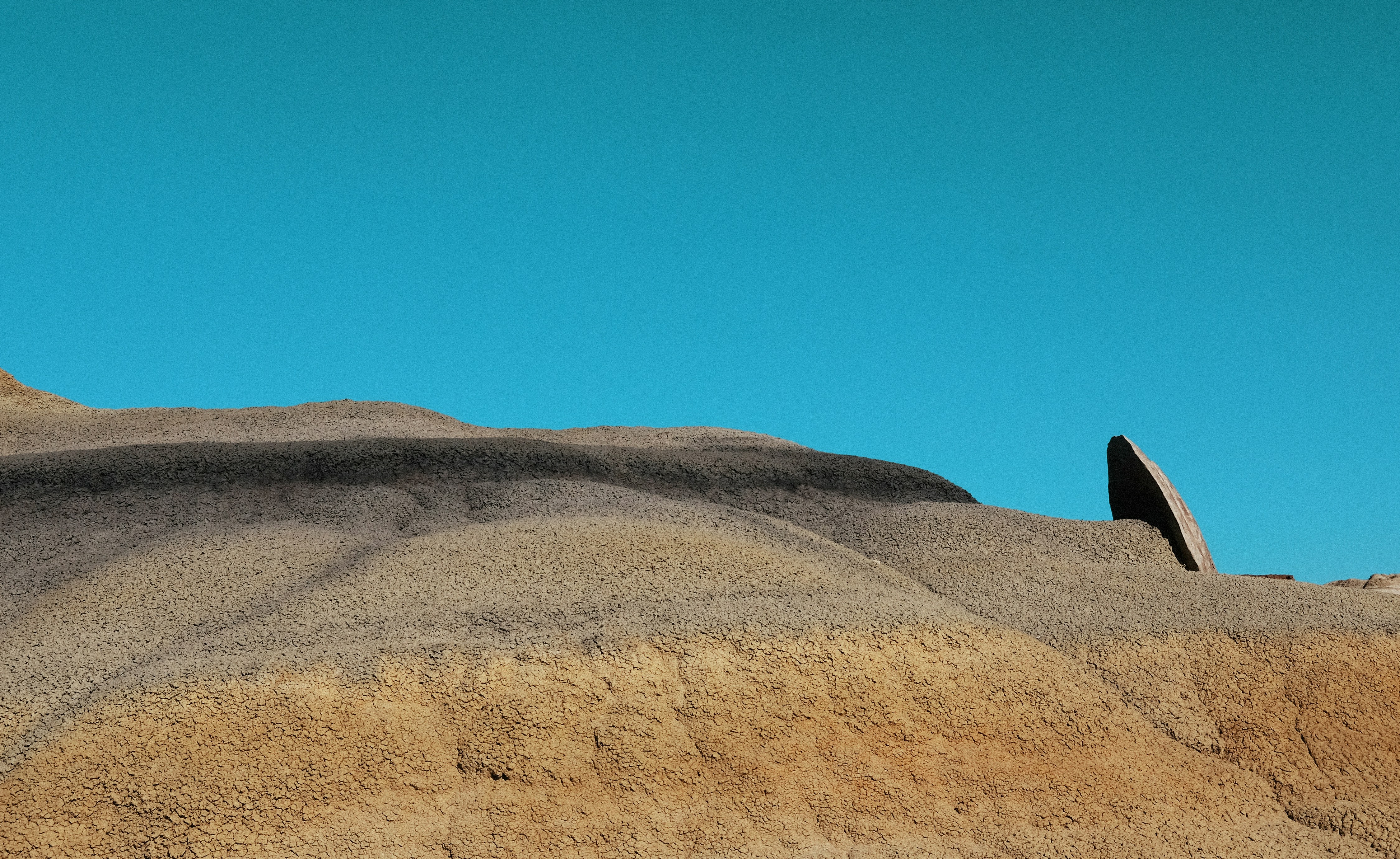 Nilasing na Hipon Recipe