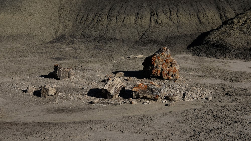 Formation rocheuse brune sur sable brun pendant la journée