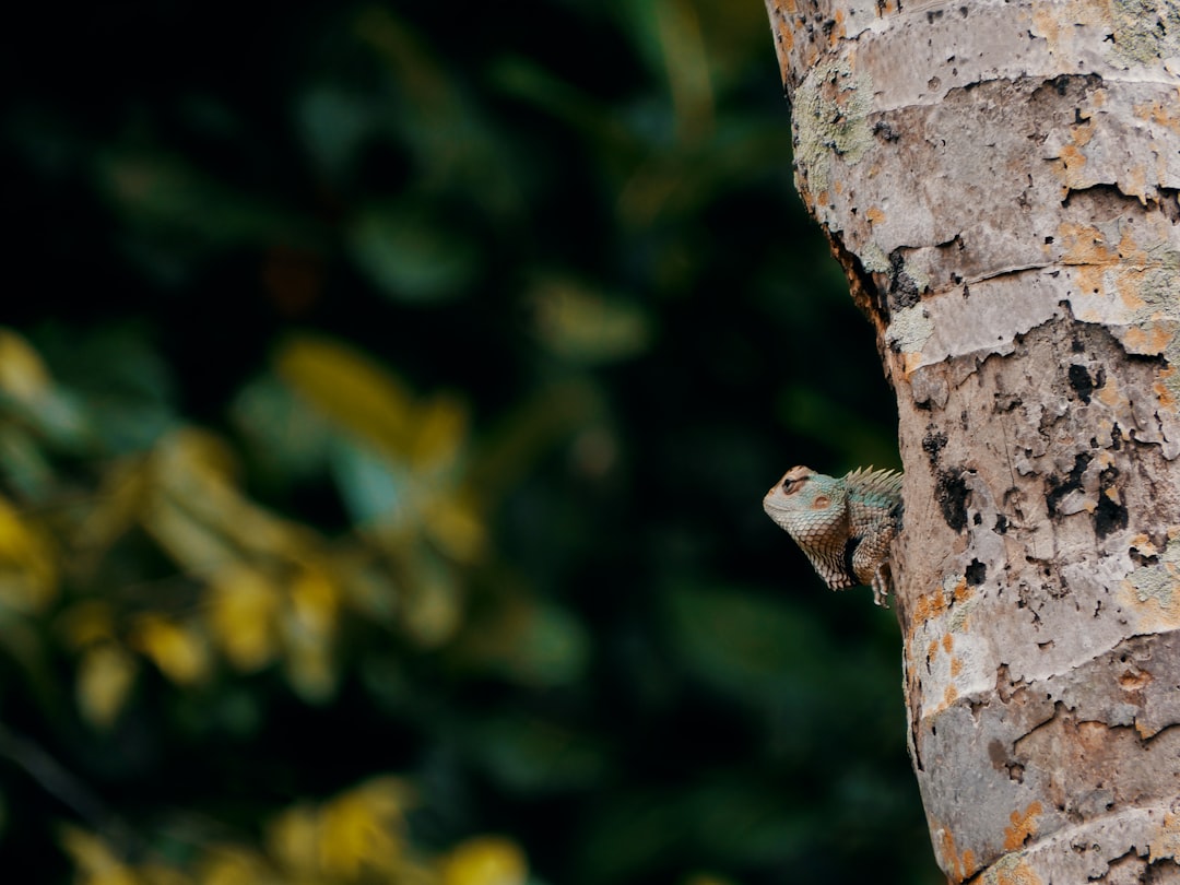 Wildlife photo spot Ernakulam Kerala