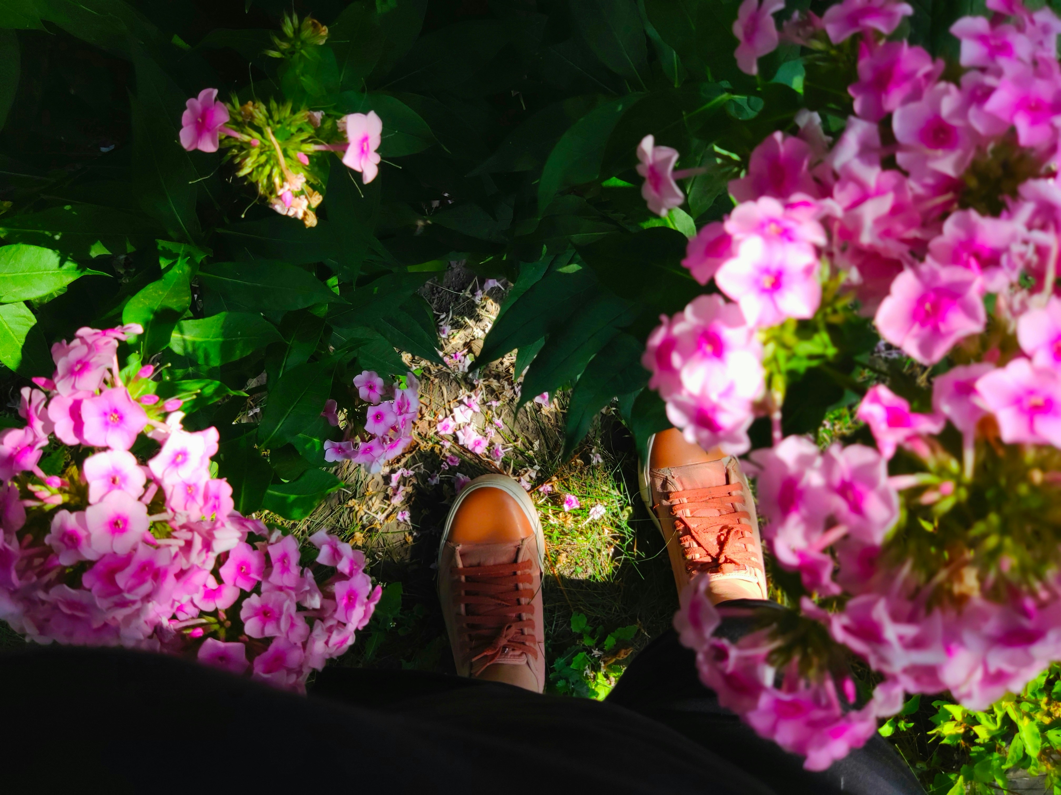 Photo by art_of_mind