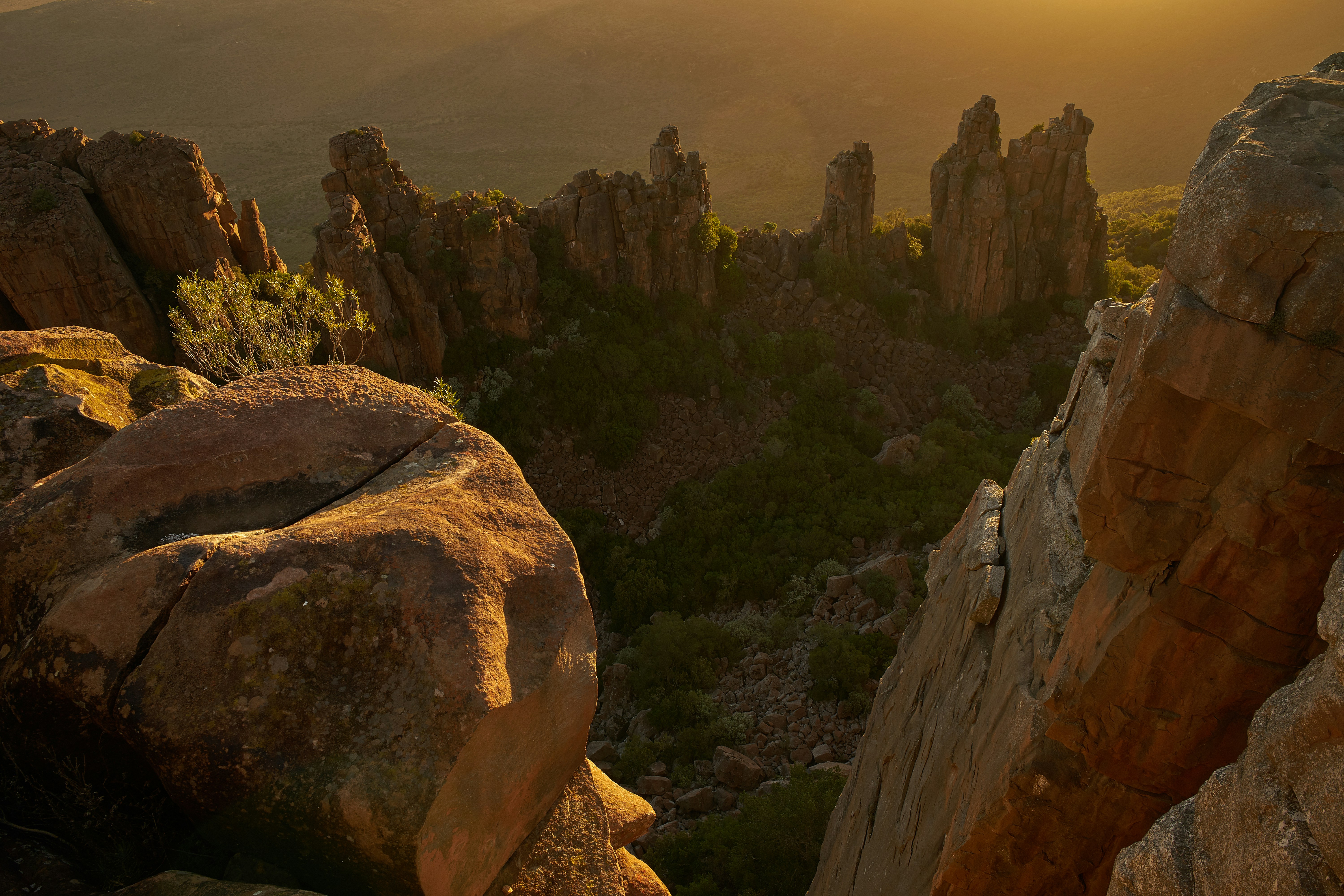 Photo by wolfgang_hasselmann