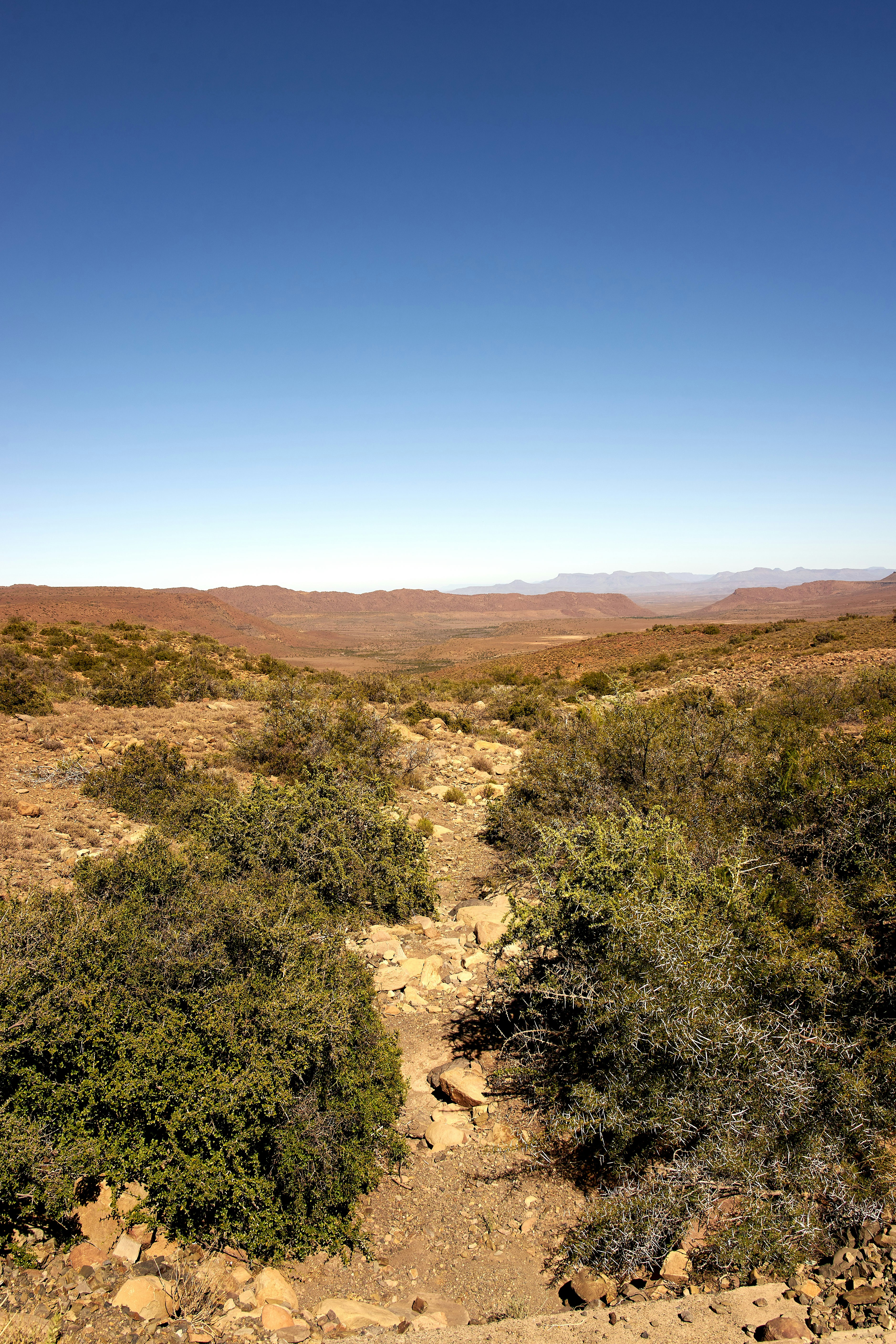 Photo by wolfgang_hasselmann