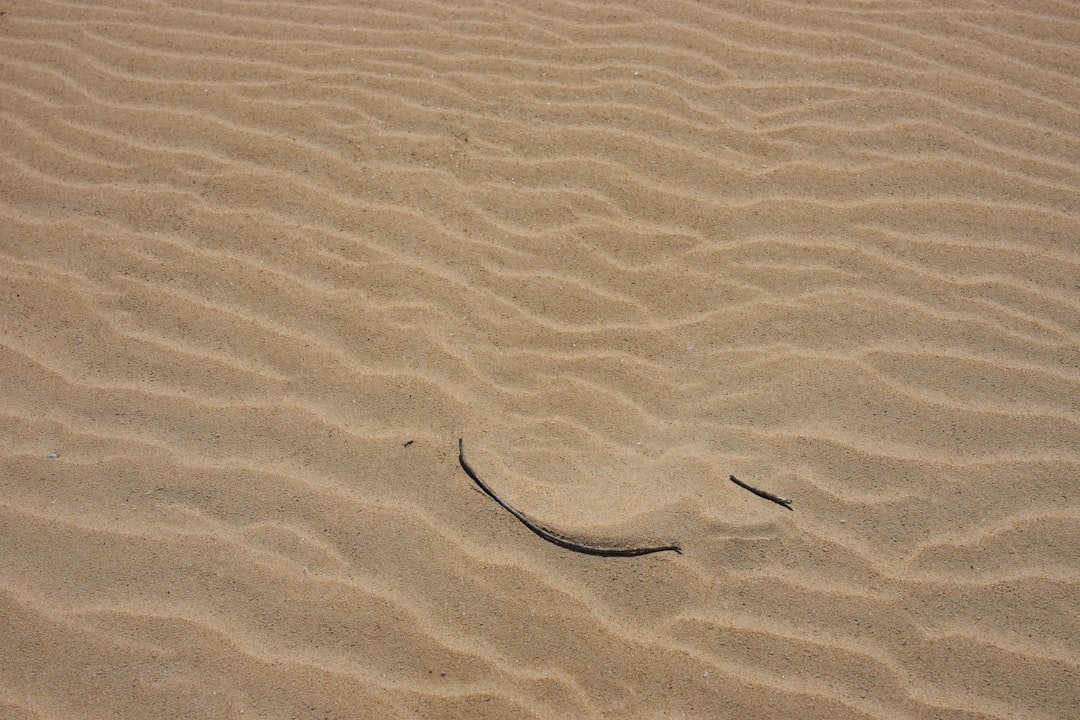 black rubber band on brown sand